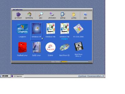 SC8Pic.JPG