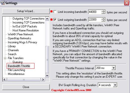 Settings Bandwidth Throttle(DSL).jpg